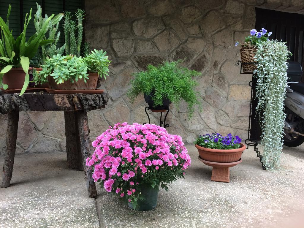 Tencarola B & B Exterior foto